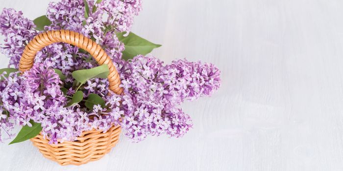 Basket with a bouquet of lilac flowers on a white wooden table, banner with place for text.