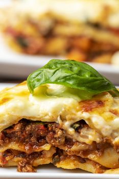 closeup of lasagna with basil