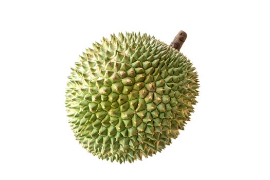Malaysia famous king of fruits Blackthorn durian Black thorn isolated on white background.
