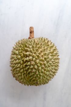 Malaysia famous king of fruits durian Black thorn on grey background.