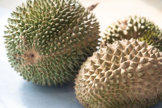 Malaysia famous king of fruits Blackthorn durian Black thorn close up.
