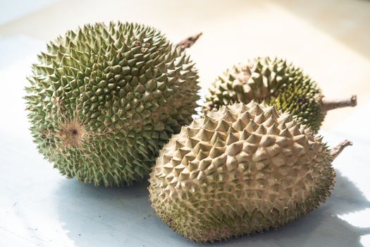 Malaysia famous king of fruits Blackthorn durian Black thorn close up.