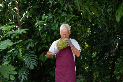 Farmer and musang king durian in orchard.