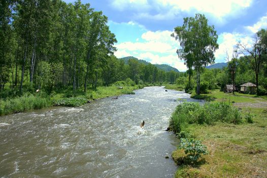 Old campsite on the bank of a mountain river flowing through the forest. Sema River, Altai, Siberia, Russia.