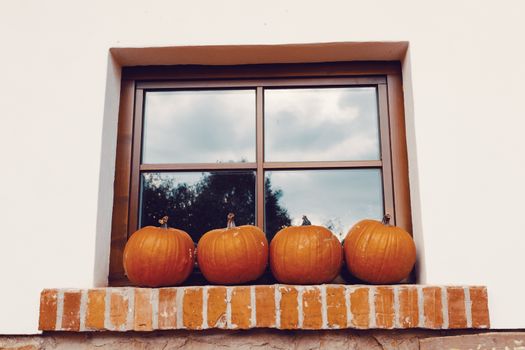 Autumn Halloween decoration. Pumpkins collection arranged on ground as pleasing fall outdoor still life