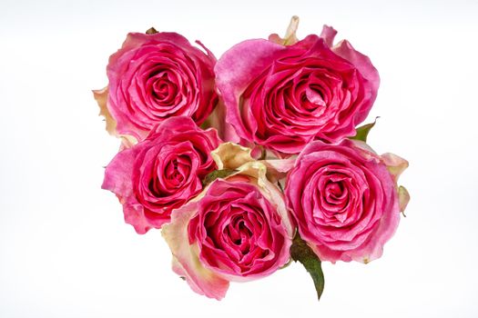 Bouquet of flowers on a studio background