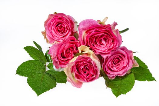 Bouquet of flowers on a studio background