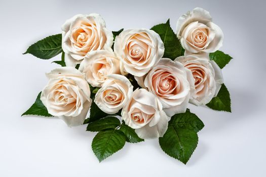 Bouquet of flowers on a studio background