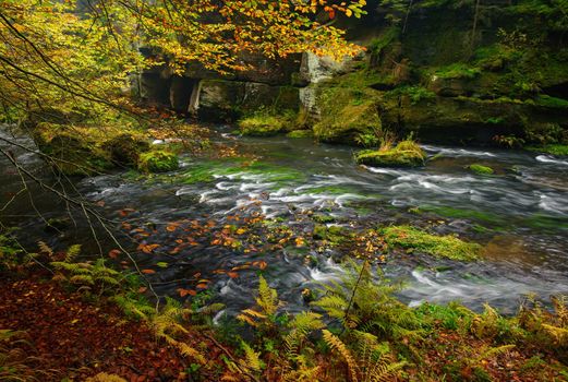 A beautifully clean river flowing through a colorful autumn forest