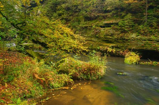 A beautifully clean river flowing through a colorful autumn forest