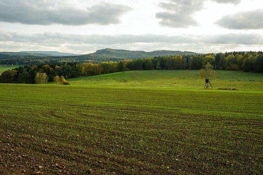 Autumn colorful landscape with forests, hills, sun and sky