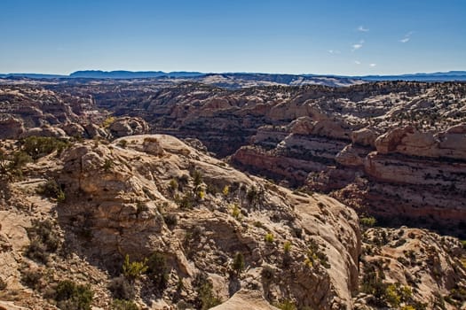 Panoramic view from The Hogback lookout on Scenic Route 12 in Utah, USA