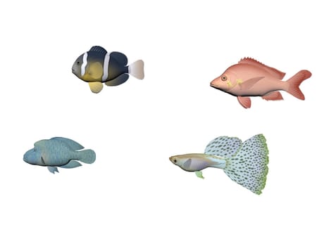 Several fish on a white background - 3d rendering