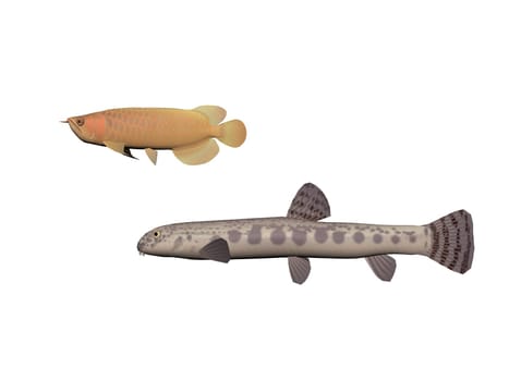 Several fish on a white background - 3d rendering