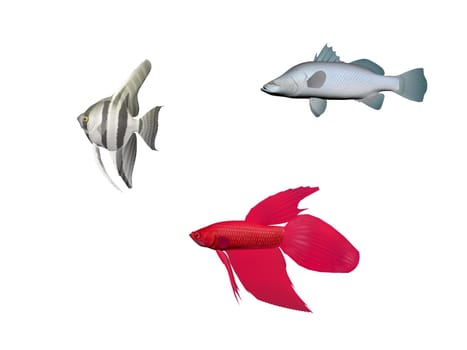 Several fish on a white background - 3d rendering