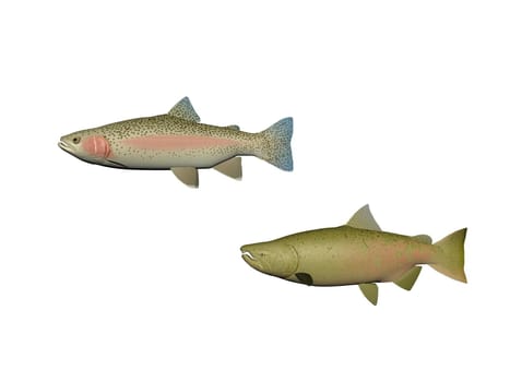 Several fish on a white background - 3d rendering