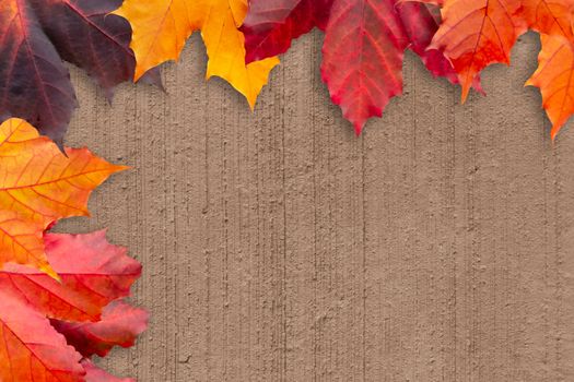 Border of autumn leaves on a beige textured background - a beautiful template for an autumn card or congratulations.