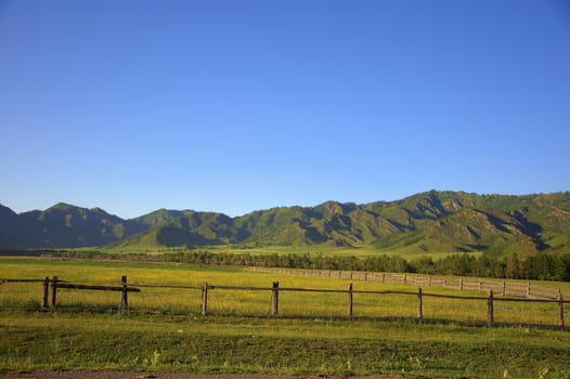 Enclosed pasture in a fertile valley at the foot of high mountains. Altai, Siberia, Russia.