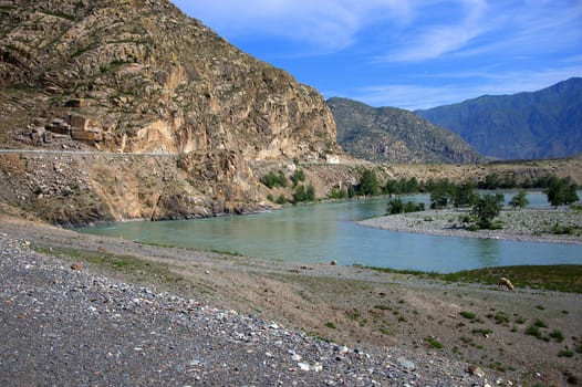 The rocky shore of the turquoise Katun River flowing at the foot of the mountains. Altai, Siberia, Russia.