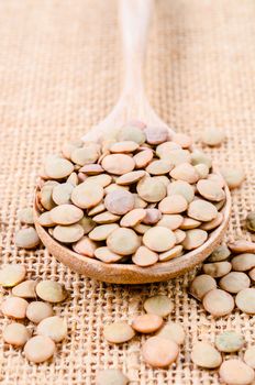 Close up brown lentil seeds on wooden spoon on sack background.