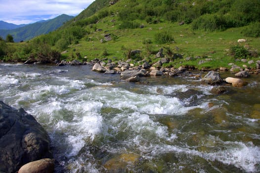 A stormy and impetuous mountain river flows through the valley and the forest is sandwiched in rocky shores. Sema, Altai, Siberia, Rossiya.