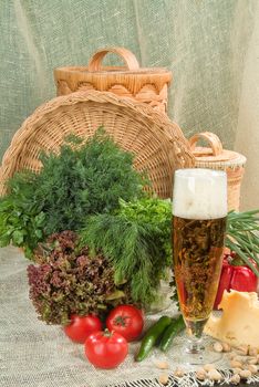 Mug of beer, and greenery on a canvas background
