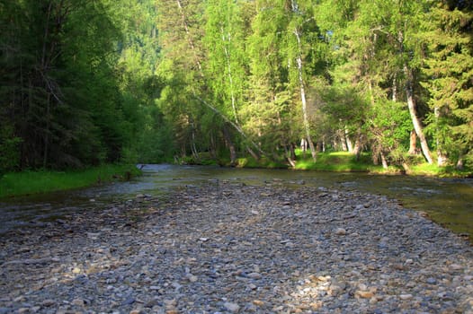 The rocky shore of a small mountain river Sema, flowing through the forest. Altai, Siberia, Russia.