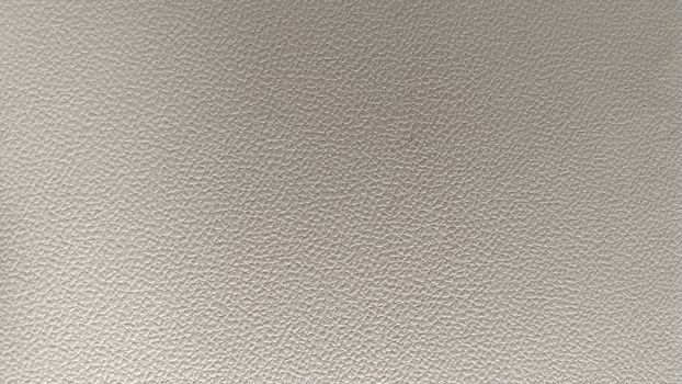 Genuine leather light gray. Background Texture