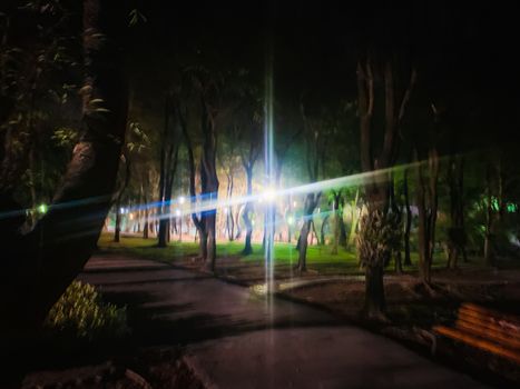 Blurry light in the park at night in the park