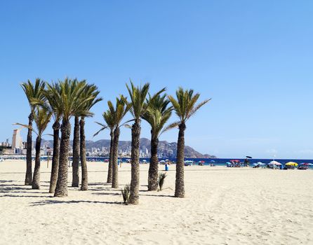 Beautiful Poniente beach in Benidorm, Spain