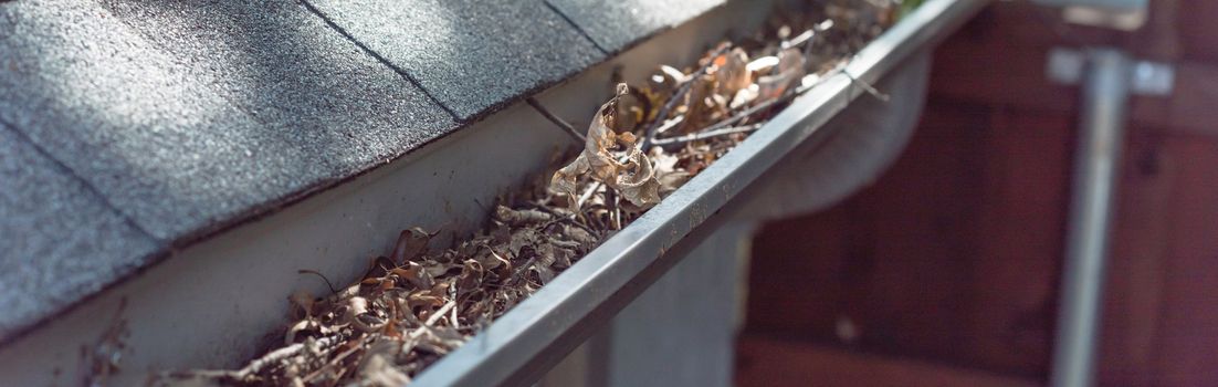 Panorama view gutter near roof shingles of residential house full of dried leaves and dirty need to clean-up. Gutter cleaning and home maintenance concept