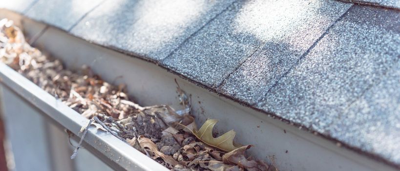 Panorama view gutter near roof shingles of residential house full of dried leaves and dirty need to clean-up. Gutter cleaning and home maintenance concept