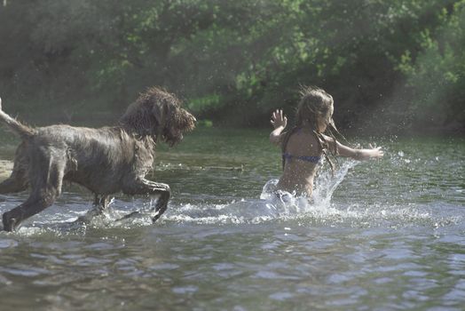 Little girl playing in the river with a dog on a summer sunny day.The little girl runs away from the dog in the river, the girl is afraid of the dog.