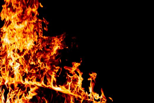 Wood fire on black background.Fire on a dark background. Background from fire. Fire close up. Background for designers.