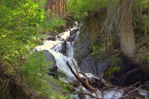 Fragment of a cascade waterfall. Boca River, Altai, Siberia Russia