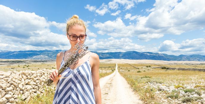 Woman in summer dress holding and smelling bouquet of lavender flowers while walking outdoor through dry rocky Mediterranean Croatian coast lanscape on Pag island in summertime.