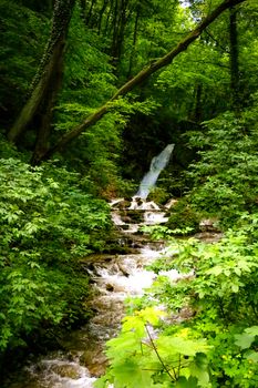 View of the mountain river flowing along the forest and the road, soft focus, lack of focus