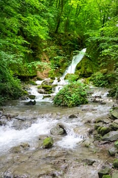 Mountain river flowing through the green forest. soft focus, lack of focus