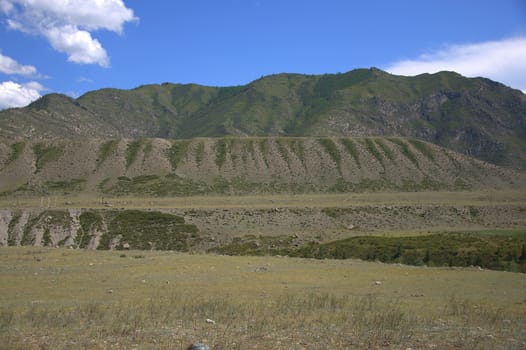 Fertile pasture at the foot of the fertile hills. Altai, Siberia, Russia