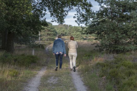 Garderen,Holland,15-july-2019:two woman walking in the national park the hooge veluwe in holland, the park is famous of its wildlife as deer and wild pigs