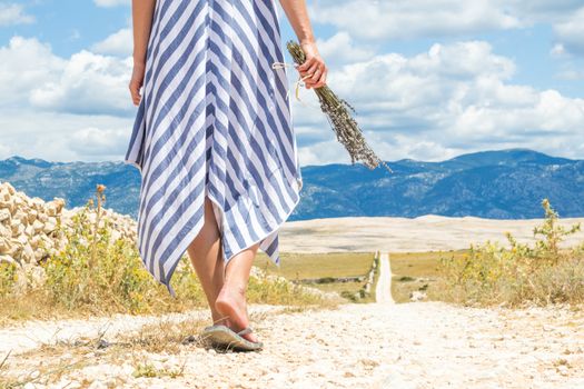 Rear view of woman in summer dress holding bouquet of lavender flowers while walking outdoor through dry rocky Mediterranean coast lanscape on Pag island, Croatia in summertime.