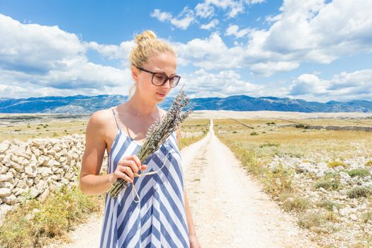 Woman in summer dress holding and smelling bouquet of lavender flowers while walking outdoor through dry rocky Mediterranean Croatian coast lanscape on Pag island in summertime.