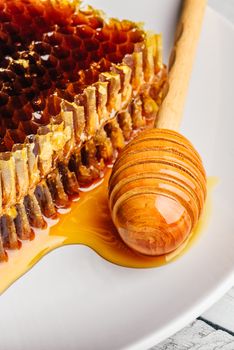 Delicious honeycomb on white plate with wooden honey dipper