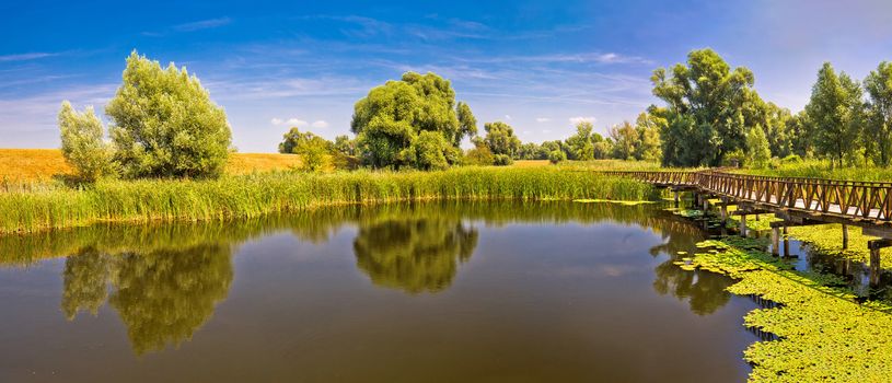 Kopacki Rit marshes nature park wooden boardwalk panoramic view, Baranja region of Croatia