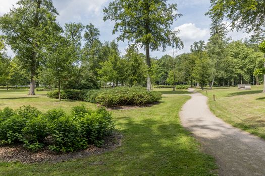 big english garden with green grass and path for walking