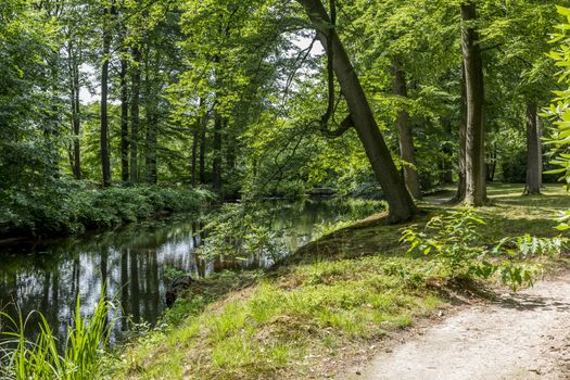big english garden with green grass and path for walking with a small river crossing