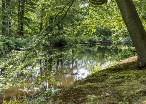 big english garden with green grass and path for walking with a small river crossing