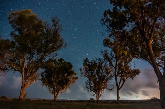 Romantic landscape under stars night sky