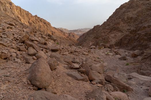 Hiking in desert nature landscape for health and vacation