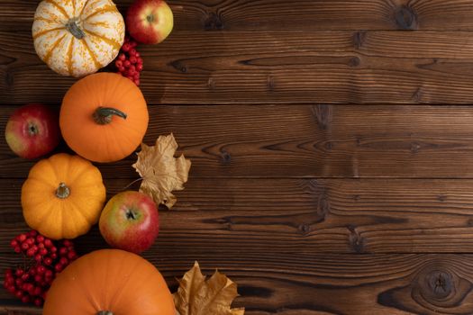 Autumn harvest still life with pumpkins , apples and rowanberry on wooden background , top view